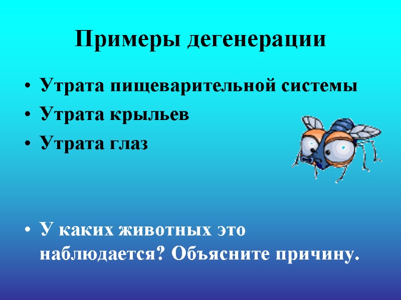 Примеры дегенерации Утрата пищеварительной системы Утрата крыльев Утрата глаз   У каких животных